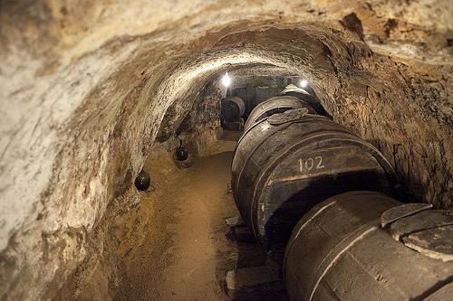 Casa Rural La Prensa De Vino Hotell San Esteban De Gormaz Rom bilde